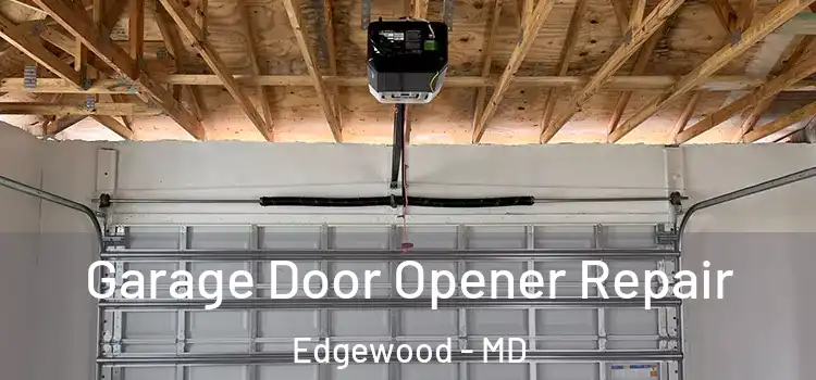 Garage Door Opener Repair Edgewood - MD