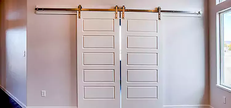 Glass Barn Door with Installation Hardware Kit Edgewood