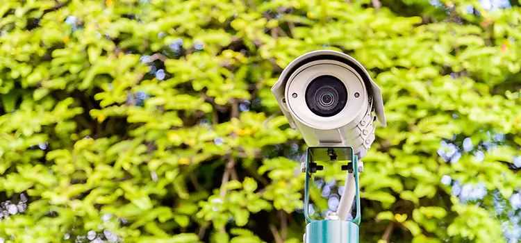 Advanced Surveillance Solutions for Every Need in Edgewood