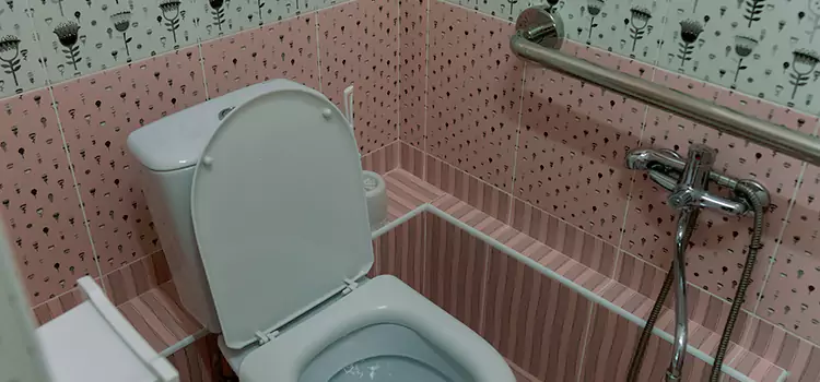 Meeting Diverse Needs With Accessible Restroom Solutions in Edgewood, MD