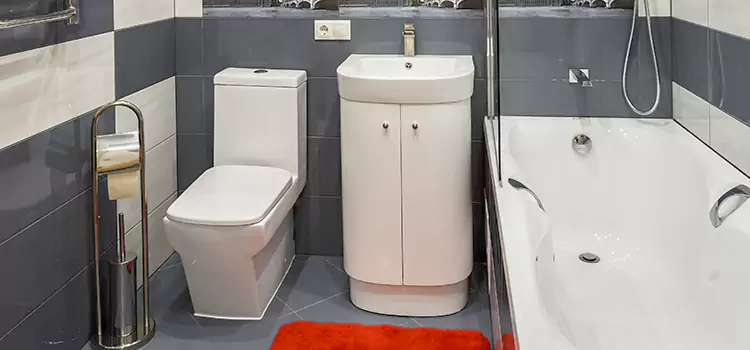 Hansgrohe Shaving Mirror Edgewood